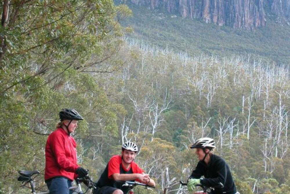 mt wellington bike tour