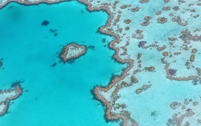 Reef and Whitsunday Islands Scenic Flight - Real Journeys