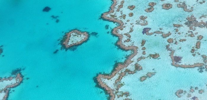 Reef and Whitsunday Islands Scenic Flight - Real Journeys