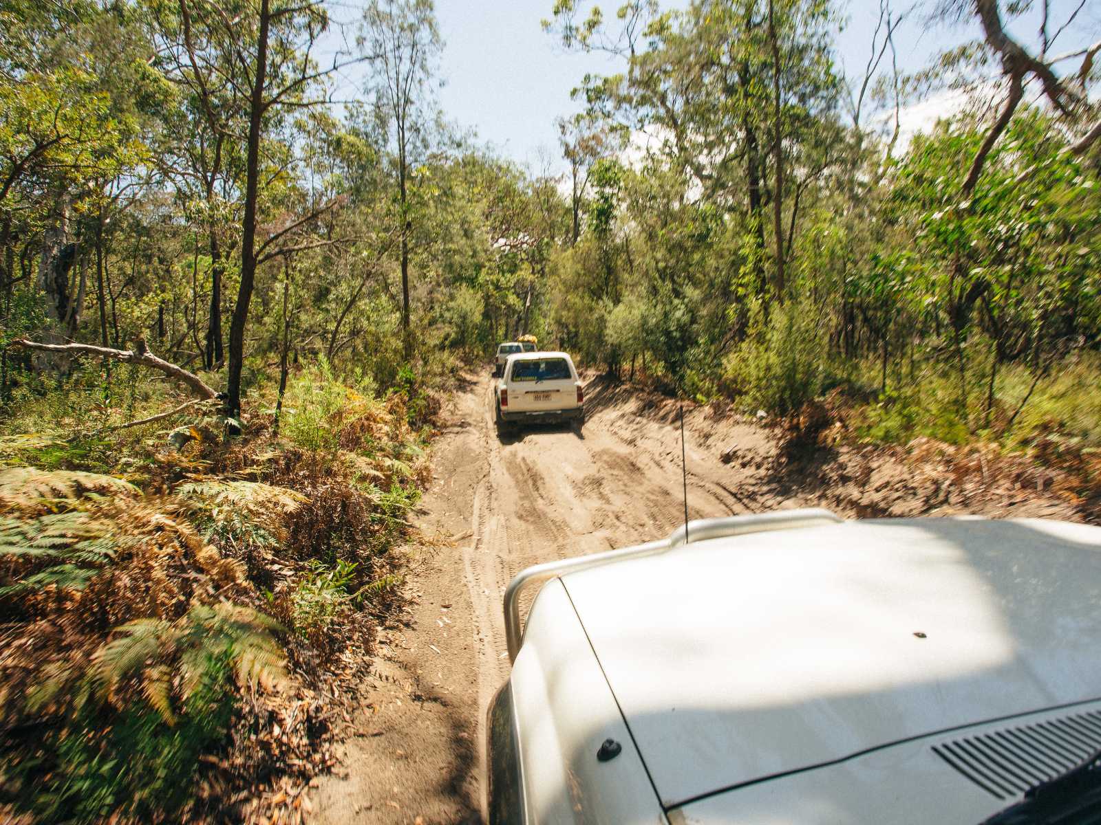Inside view of a 4WD vehicle following another through a sandy rainforest track 
