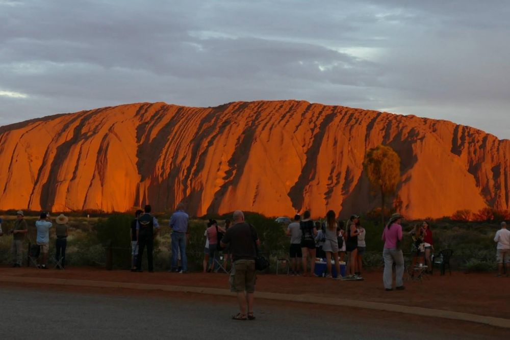 emu tours uluru