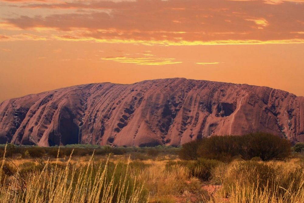 Darwin to Ayers Rock Adventure Wayoutback