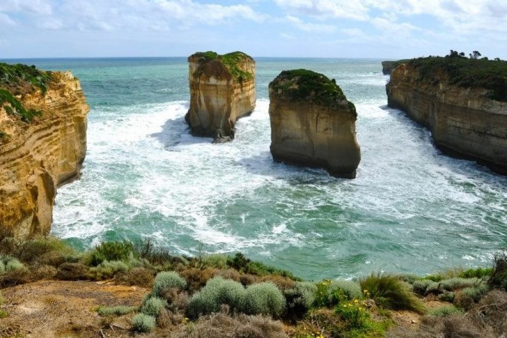 great ocean road tours wildlife tours melbourne