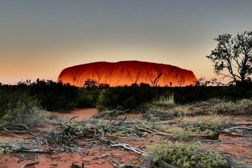 emu tours uluru