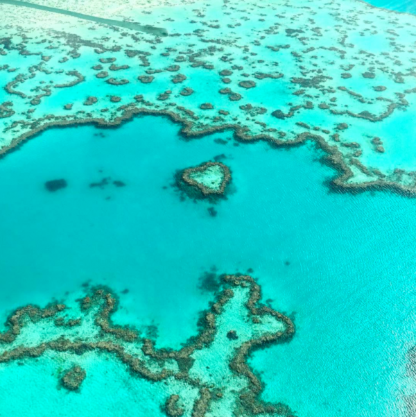 Snorkel the Great Barrier Reef